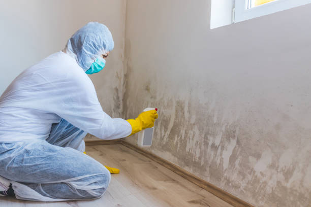 Bathroom Mold Removal assessment in Hackensack bathroom